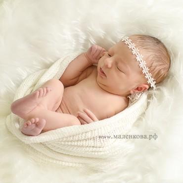 Фотография #607847, , автор: Татьяна Маленкова
