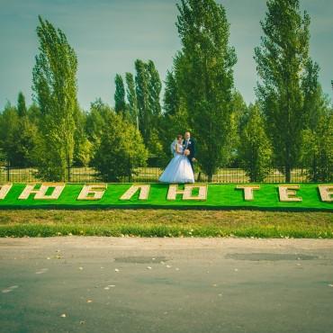 Фотография #597666, свадебная фотосъемка, автор: Дмитрий Адоньев