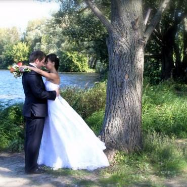 Фотография #601999, свадебная фотосъемка, автор: Светлана Самойлова