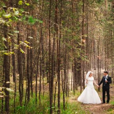 Фотография #374544, свадебная фотосъемка, автор: Наталья Полуновская