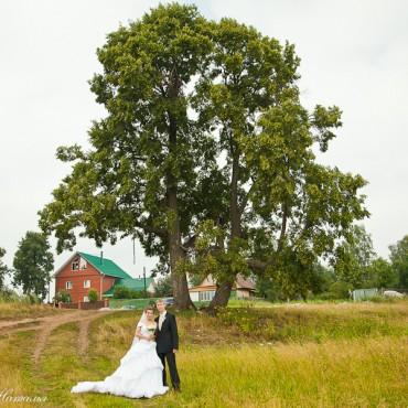 Фотография #374356, свадебная фотосъемка, автор: Наталья Полуновская