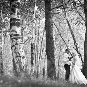 Фотография #378515, свадебная фотосъемка, автор: Антон Яценко