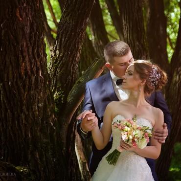 Фотография #384290, свадебная фотосъемка, автор: Ирина Лежнева