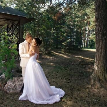 Фотография #381604, свадебная фотосъемка, автор: Светлана Дмитриева