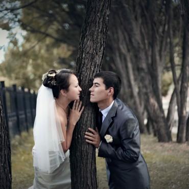 Фотография #378192, свадебная фотосъемка, автор: Таня Ходырева