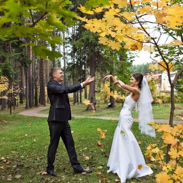 Фотография #379639, свадебная фотосъемка, автор: Решетников Алексей