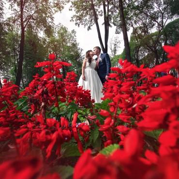 Фотография #380811, свадебная фотосъемка, автор: Елена Крылосова