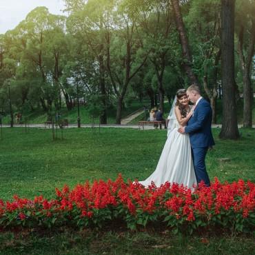 Фотография #383486, свадебная фотосъемка, автор: Елена Крылосова