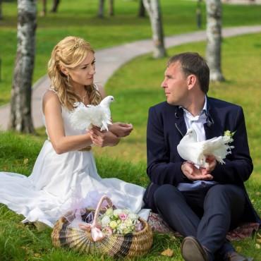 Фотография #380809, свадебная фотосъемка, автор: Алексей Ширинкин