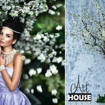 Фотография #383340, , автор: Студия "Arthouse" 