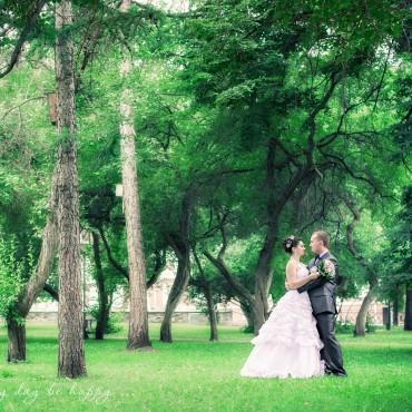 Фотография #385932, свадебная фотосъемка, автор: Надежда Колесова