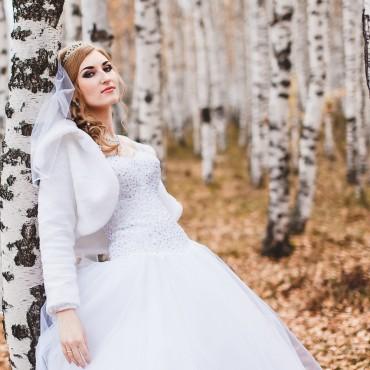 Фотография #389553, свадебная фотосъемка, автор: Дмитрий Молчанов