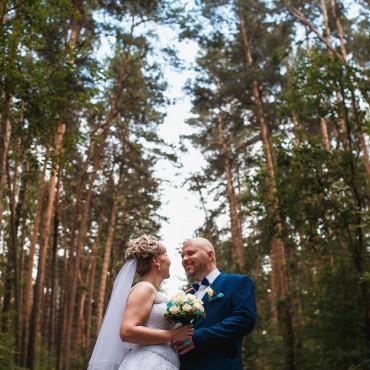 Фотография #389544, свадебная фотосъемка, автор: Дмитрий Молчанов