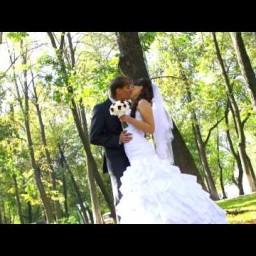 Видео #373185, автор: Евгений Жук