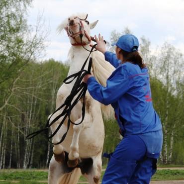 Фотография #395754, , автор: Елена Игонина