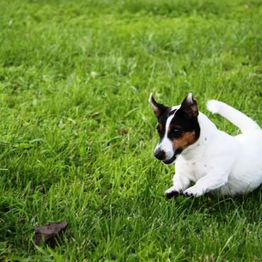 Фотография #395752, , автор: Елена Игонина