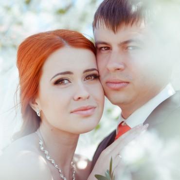 Фотография #14104, свадебная фотосъемка, автор: Алеся Бутакова