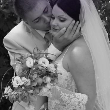 Фотография #14978, свадебная фотосъемка, автор: Ольга Леонченко