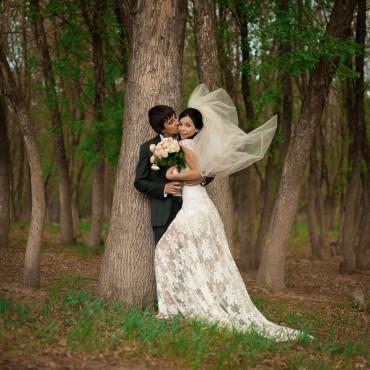 Фотография #15350, свадебная фотосъемка, автор: Борис Бушмин