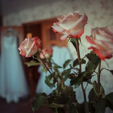Фотография #15355, свадебная фотосъемка, автор: Борис Бушмин