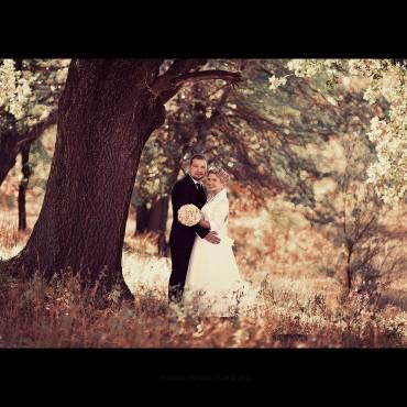 Фотография #15352, свадебная фотосъемка, автор: Борис Бушмин