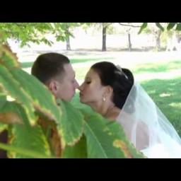 Видео #12650, автор: Юлия Тиханина