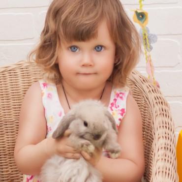 Фотография #19940, детская фотосъемка, автор: Екатерина Кузнецова