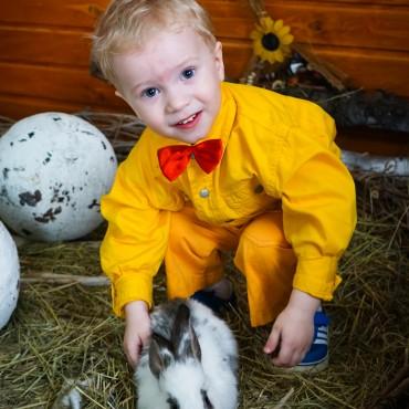 Фотография #22307, детская фотосъемка, автор: Екатерина Кузнецова