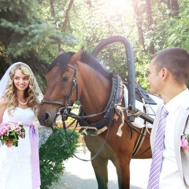 Фотография #20882, свадебная фотосъемка, автор: Олечка Соболева