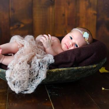 Фотография #41486, , автор: Татьяна Лето