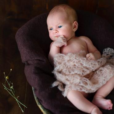 Фотография #41487, , автор: Татьяна Лето