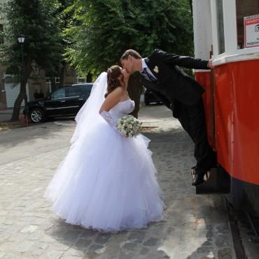 Фотография #25241, свадебная фотосъемка, автор: Светлана Фалеева