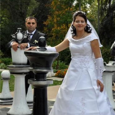 Фотография #25228, свадебная фотосъемка, автор: Светлана Фалеева