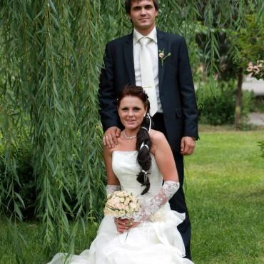 Фотография #25231, свадебная фотосъемка, автор: Светлана Фалеева