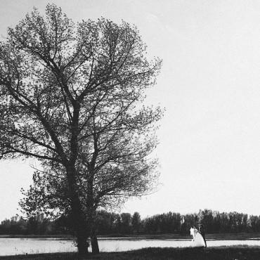 Фотография #24676, свадебная фотосъемка, автор: Константин Мартиросов