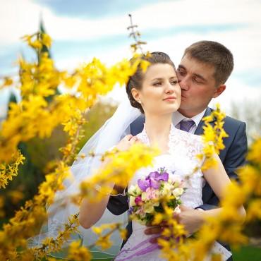 Фотография #25632, свадебная фотосъемка, автор: Александр Герасимов