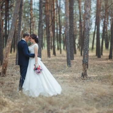 Фотография #29884, свадебная фотосъемка, автор: Сергей Стокопенов