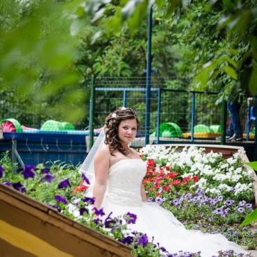 Фотография #30820, свадебная фотосъемка, автор: Елизавета Пушечкина