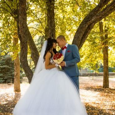Фотография #32789, свадебная фотосъемка, автор: Анастасия Онуфриенко