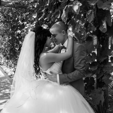 Фотография #32785, свадебная фотосъемка, автор: Анастасия Онуфриенко