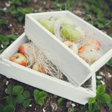 Фотография #33037, lovestory, автор: Сергей Даньшин