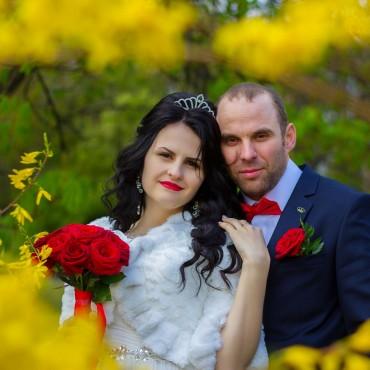 Фотография #36846, свадебная фотосъемка, автор: Екатерина Кузнецова