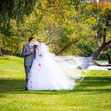 Фотография #169327, свадебная фотосъемка, автор: Олеся Батура