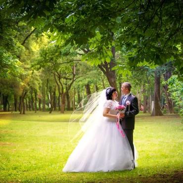 Фотография #169321, свадебная фотосъемка, автор: Олеся Батура