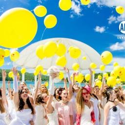 Видео #163845, автор: Артур Приходкин