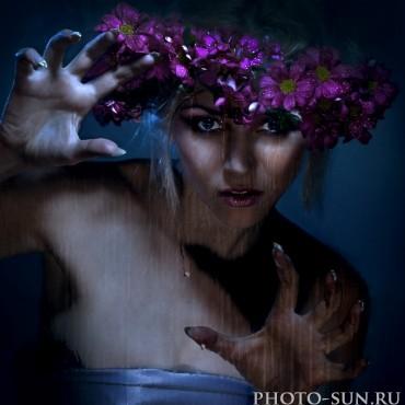 Фотография #166689, студийная фотосъемка, автор: Анатолий Типляшин