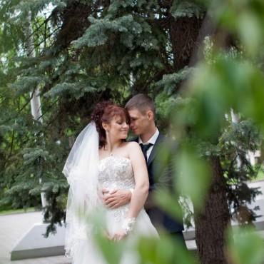 Фотография #178381, свадебная фотосъемка, автор: Ксения Соболь