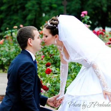 Фотография #167543, свадебная фотосъемка, автор: Юлия Бабич