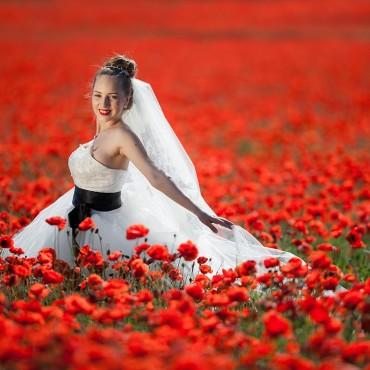 Фотография #205839, , автор: Николай Хорьков