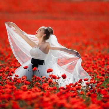Фотография #205844, , автор: Николай Хорьков